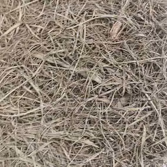 Морские водоросли для матраса оптом