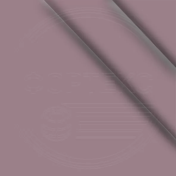 Toadstool 17-24115SPR-Toadstool 17-2411