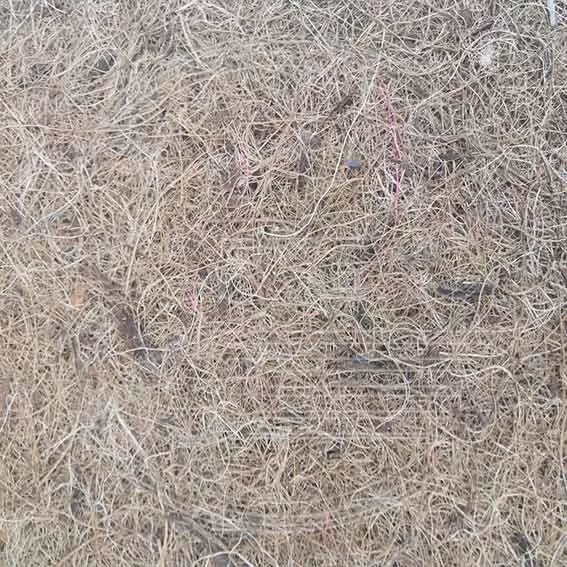 Жесткий наполнитель Кактус Cactus Flex для производства матрасов