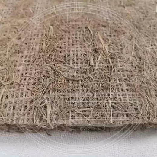 Материал Морские водоросли для производства матрасов