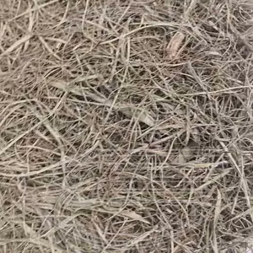 Морские водоросли для матраса оптом