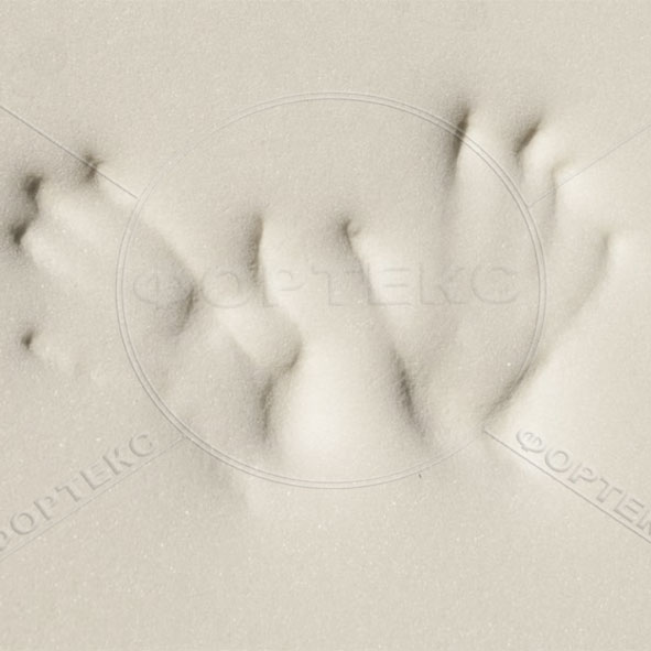 Вязкоэластичный поролон Memory Foam (с памятью) Оптовая продажа